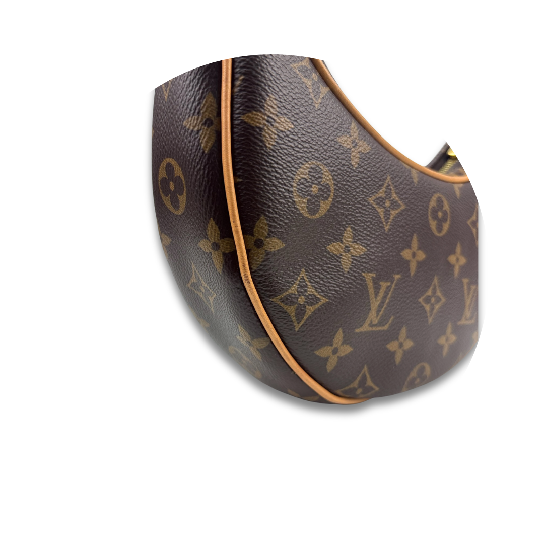 Louis Vuitton Monogram Loop Bag