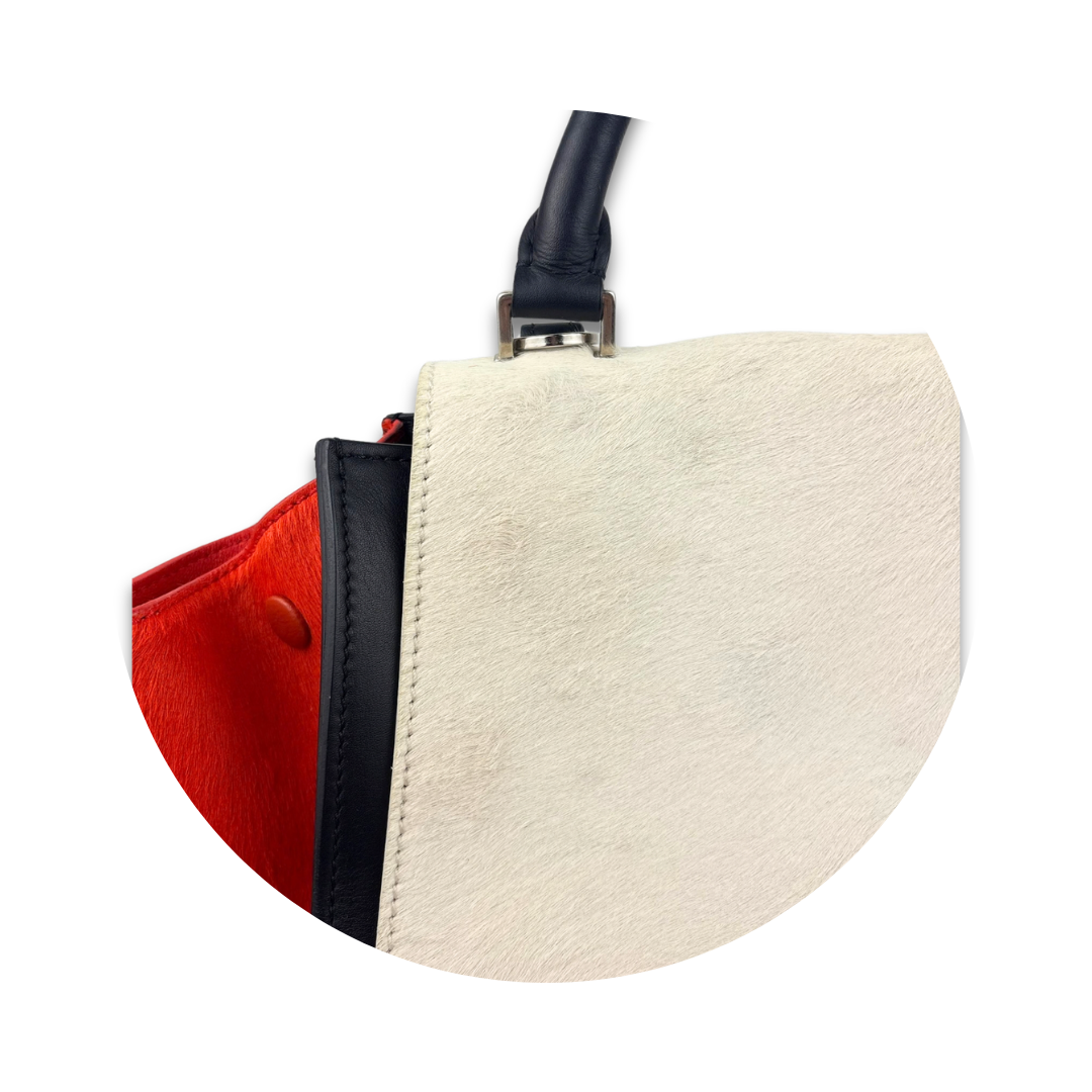 Celine Tricolor Pony Hair Trapeze Bag