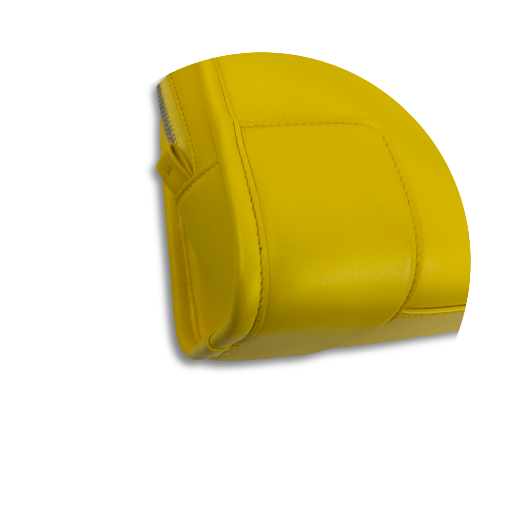 Loewe Yellow Small Amazona 180