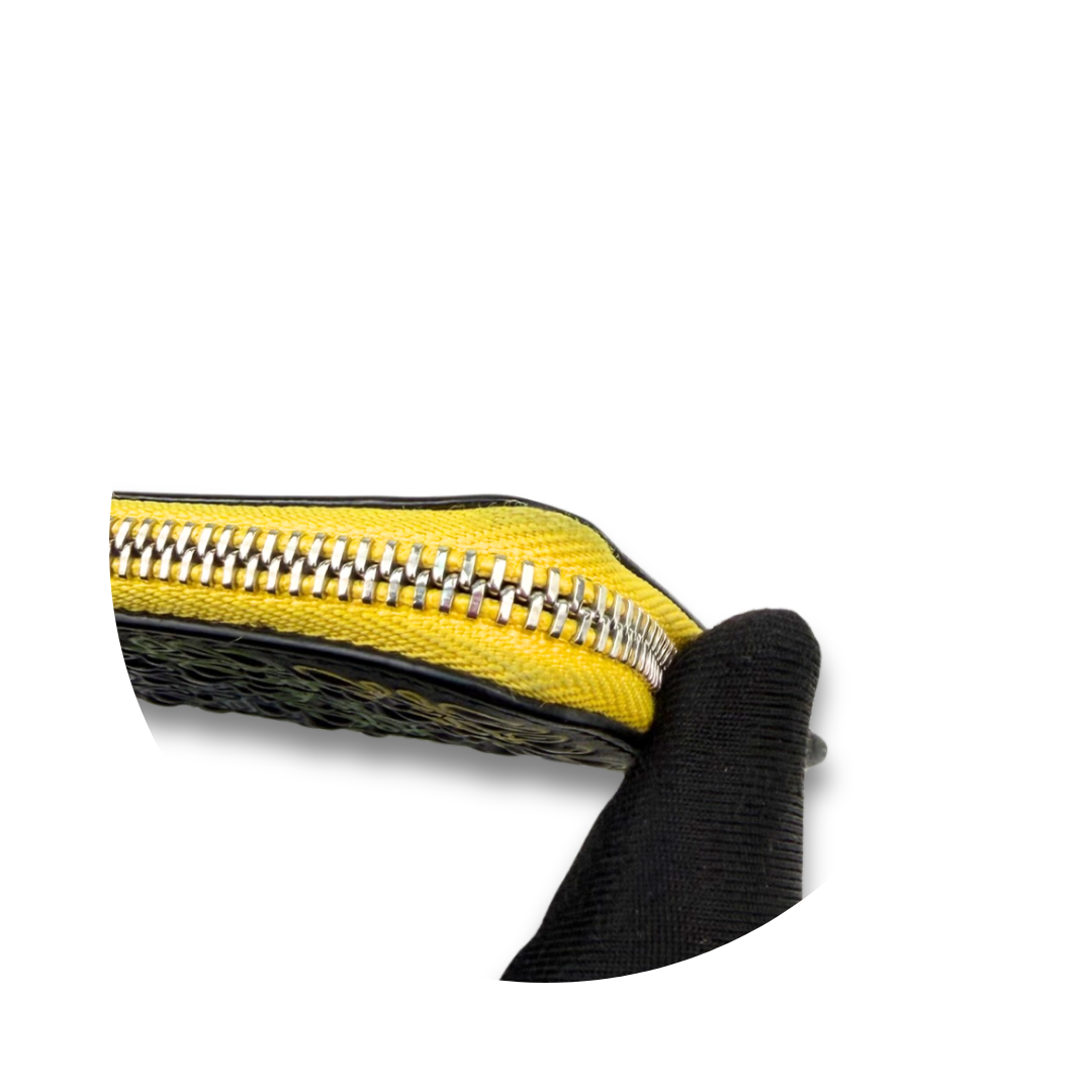 Loewe Multicolor Anagram Card Case