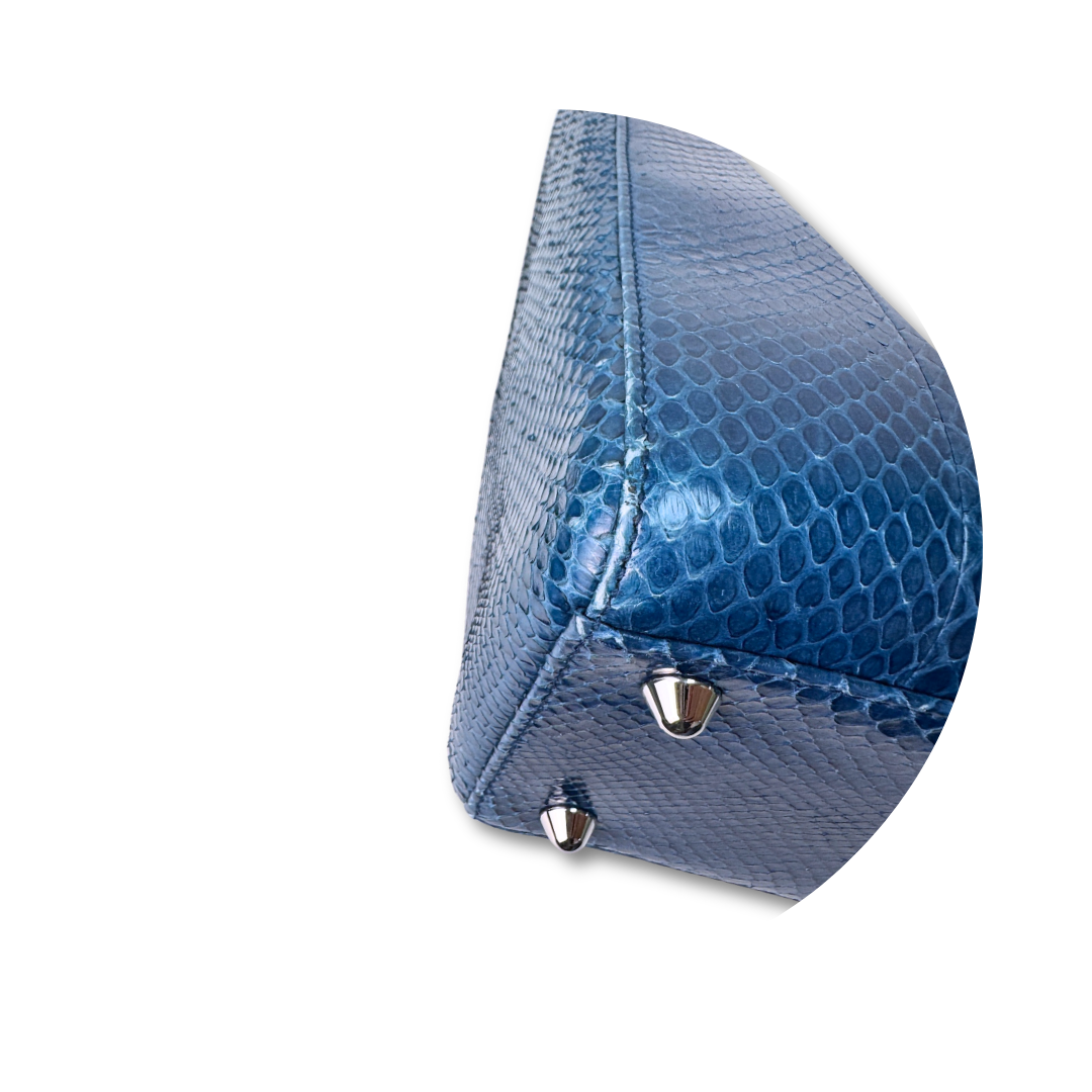 Dior Large Python Lady Dior