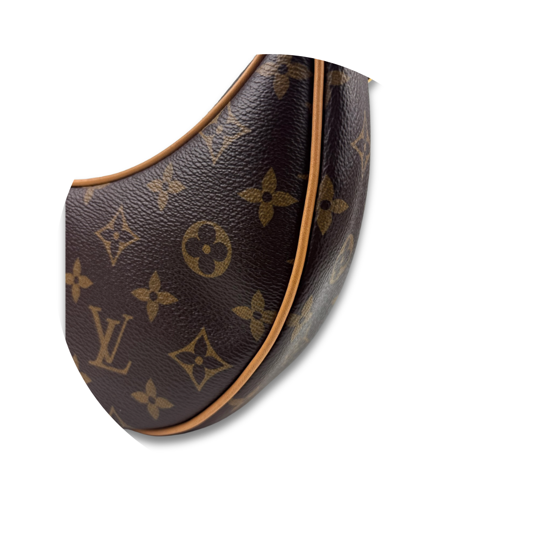 Louis Vuitton Monogram Loop Bag