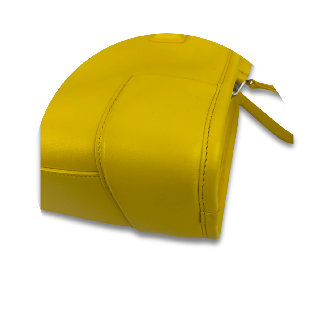 Loewe Yellow Small Amazona 180