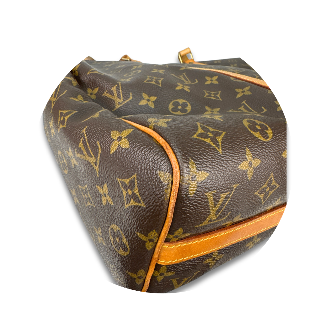 Louis Vuitton Monogram Flanerie 45
