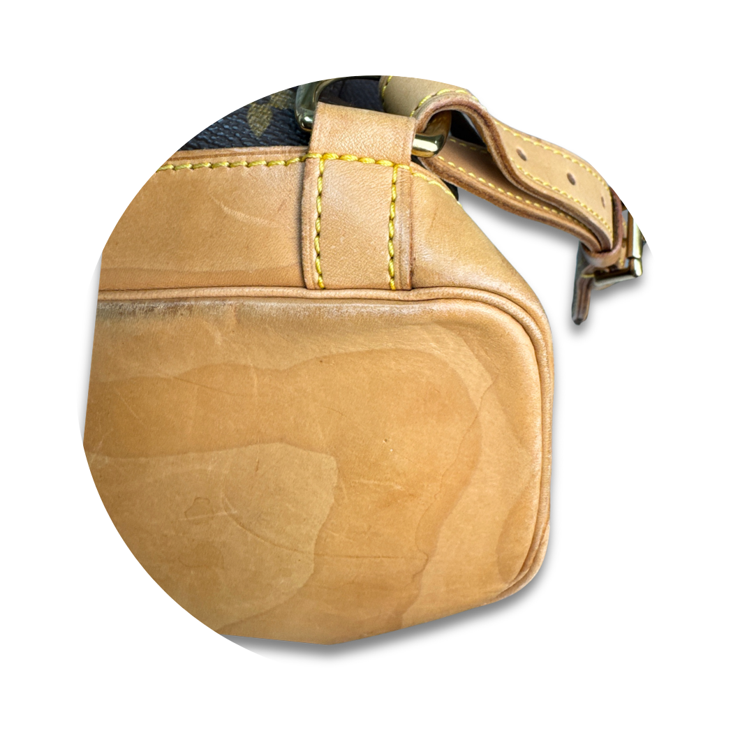 Louis Vuitton Monogram Montsouris GM