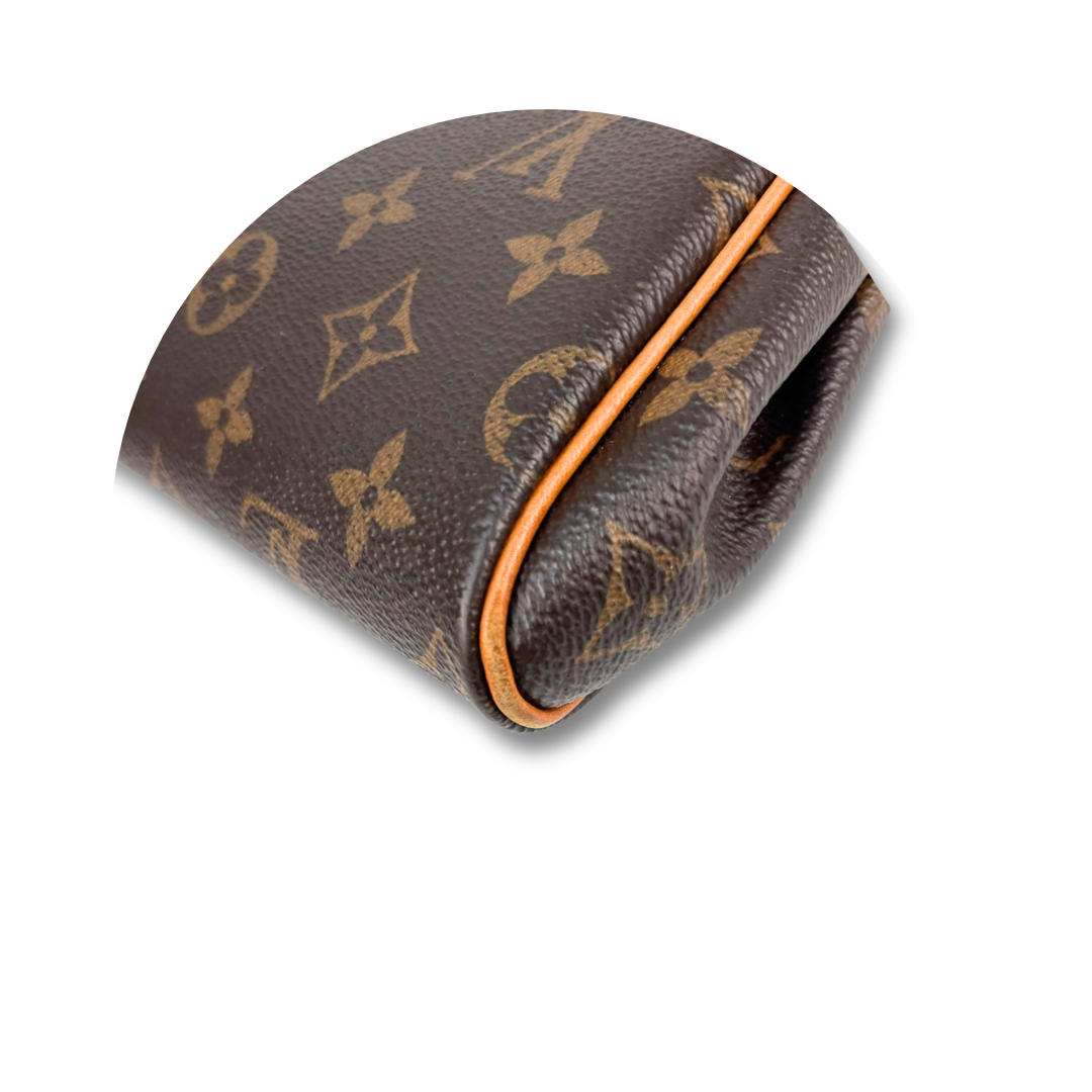 Louis Vuitton Monogram Eva Crossbody