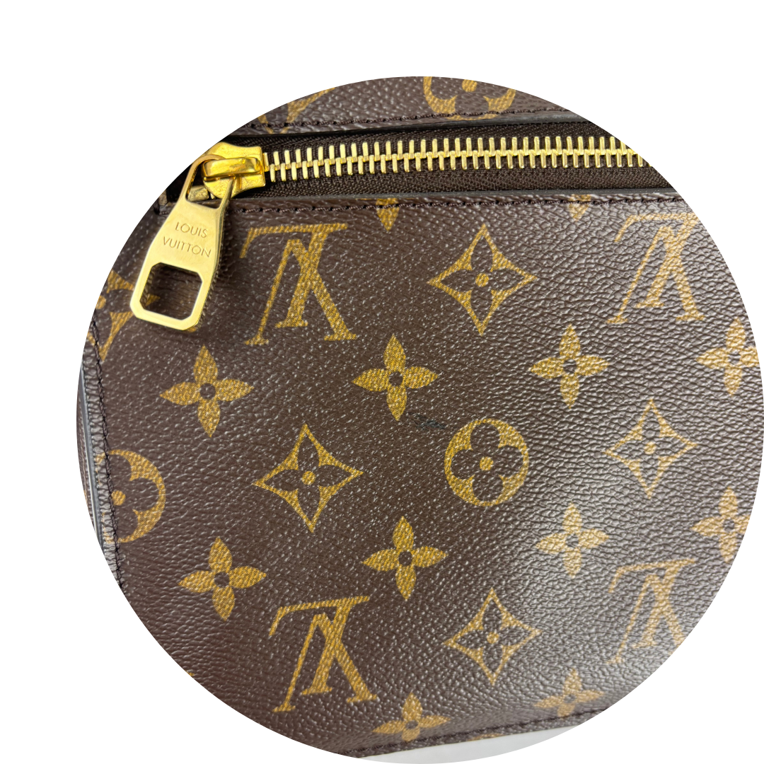 Louis Vuitton Monogram Pochette Métis