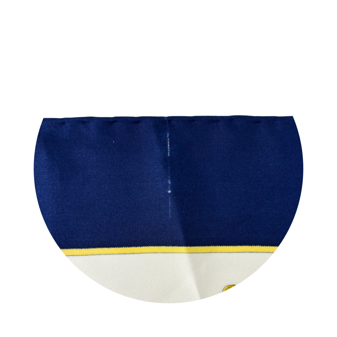 Celine Tassel Silk Scarf